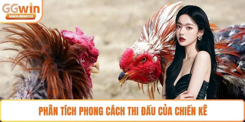 Phân tích phong cách thi đấu của chiến kê